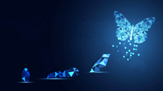 Digital Transformation